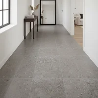 Porcelanato cementicio Soft Terra gris mate 60x60 cm
