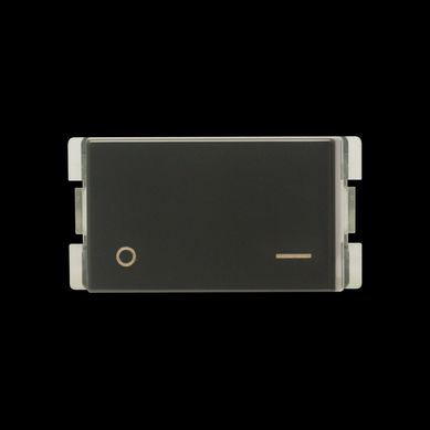 M�dulo interruptor bipolar 10A gris