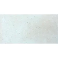 Porcelanato Evol gris mate 30x60 cm