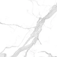 Porcelanato marmolado Bianco blanco brillante 60x60 cm