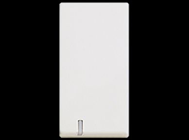 M�dulo interruptor combinado blanco