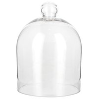 Cupula de vidrio para flores transparente