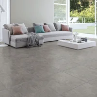 Cerámica interior y exterior Elemento Cinza Plus gris 62 x 62 cm