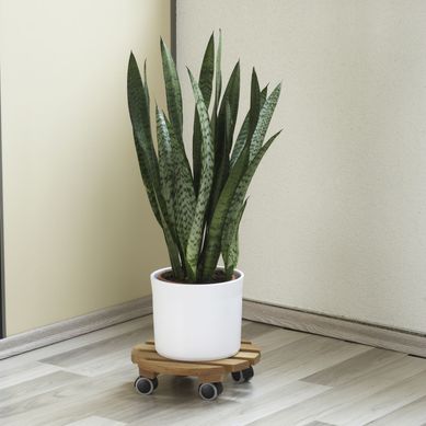 Rueda para mueble de TPE 30 kg