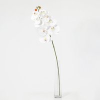 Vara orquídea artificial blanca 78 cm