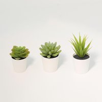 3 suculentas artificiales 14 cm