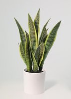 Planta artificial sansevieria 70 cm