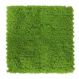 Jardín vertical musgo 50 x 50 cm