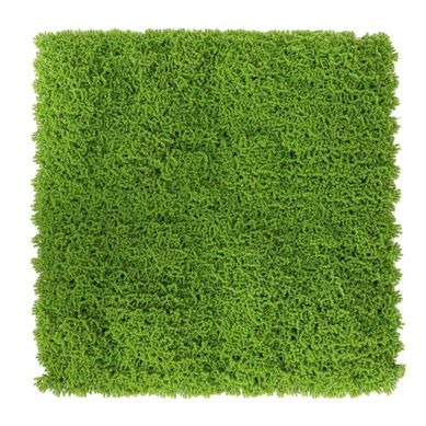 Jardn vertical musgo 50 x 50 cm