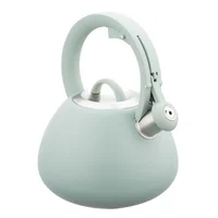 Caldera de acero inoxidable 2.8 L verde