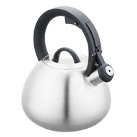 Caldera de acero inoxidable 2.8 L plateado