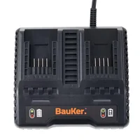Cargador doble de baterías 2 A 20 V