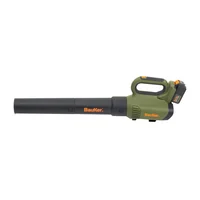 Soplador inalámbrico 20 V
