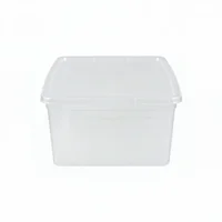 Caja organizadora de plástico con tapa Modubox transparente 6 L