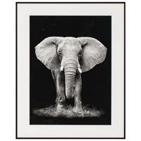 Cuadro Elefante 40 x 50 cm