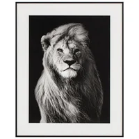 Cuadro León 40 x 50 cm