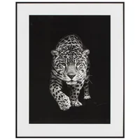 Cuadro Leopardo 40 x 50 cm