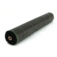 Tela antimaleza de PP 1 x 10 m negra