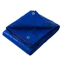Lona multiuso azul 4 x 5 m