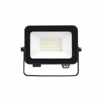 Reflector LED 20 w luz fría
