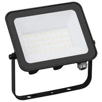 Reflector LED 30 W luz fría