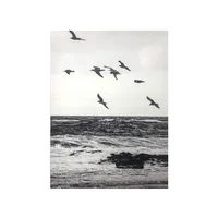 Canva Beach Birds 60 x 80 cm