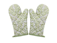 Pack de 2 manoplas Terra Soft verde