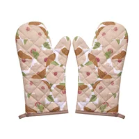 Pack de 2 manoplas Terra Soft