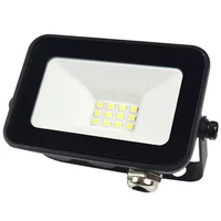 Reflector LED 10 w luz fría