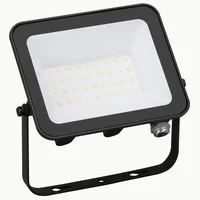 Reflector LED 20 W luz cálida