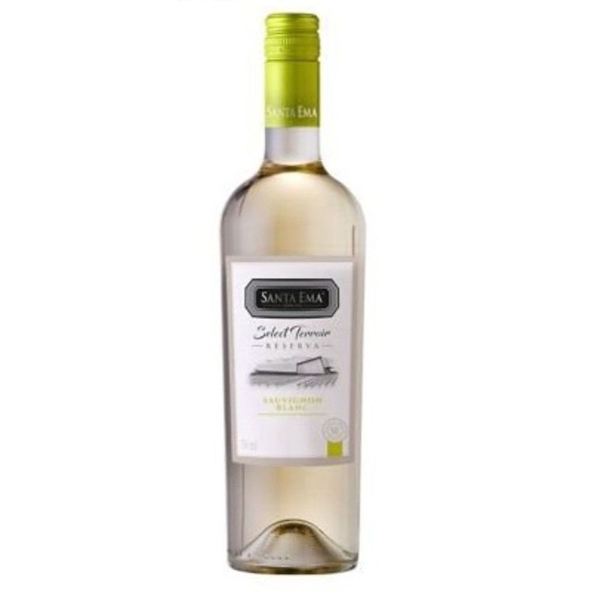 SANTA EMA - Vino Blanco Sauvignon Blanc Reserva