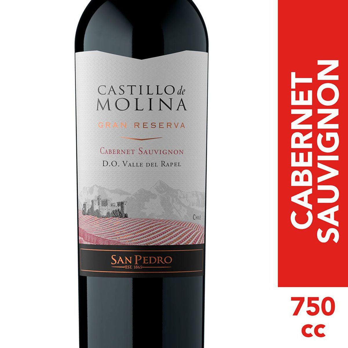 CASTILLO DE MOLINA - Vino Tinto Cabernet Sauvignon Castillo De Molina 13.5° 750 cc