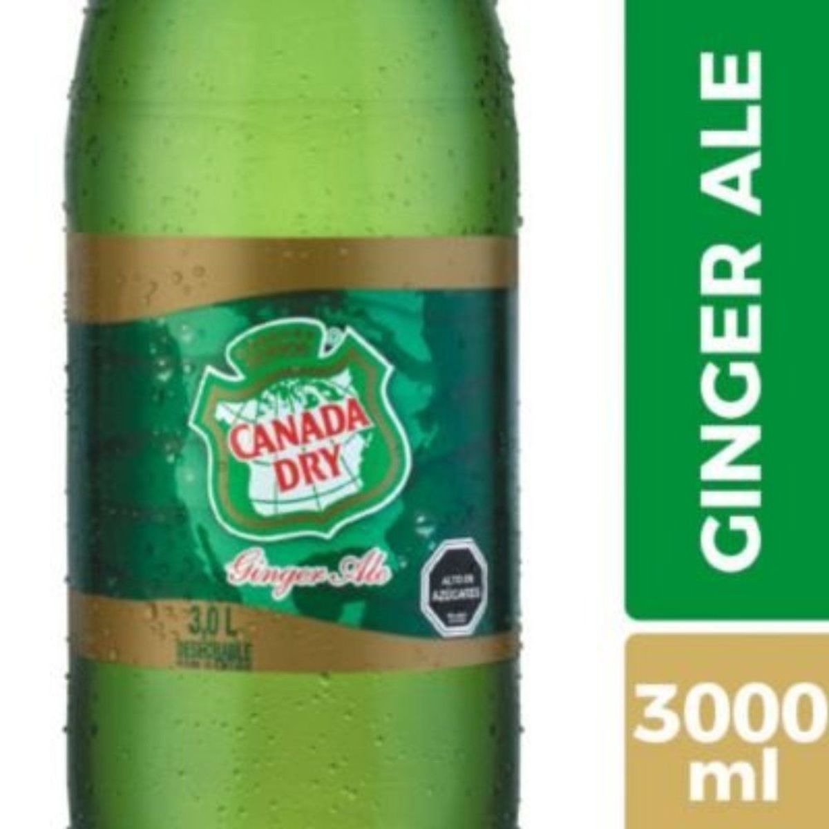 GINGER ALE - Bebida Ginger Ale Canada Dry 3 L
