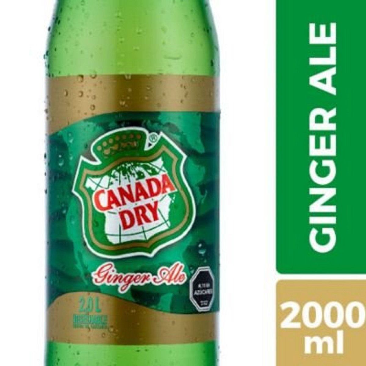 GINGER ALE - Bebida Ginger Ale Canada Dry