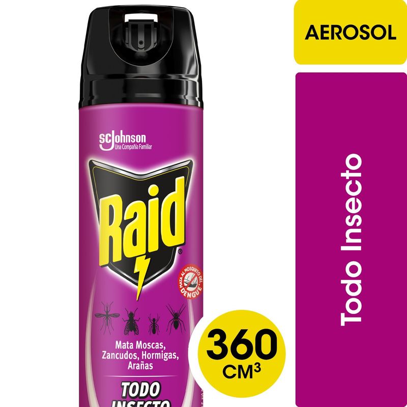 RAID - Insecticida Raid Mata Todo Insectos Aerosol 360 ml