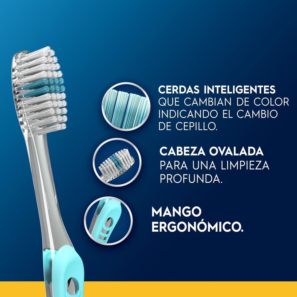 ORAL B - Pack Cepillos de Dientes Oral B Indicator 2 Un