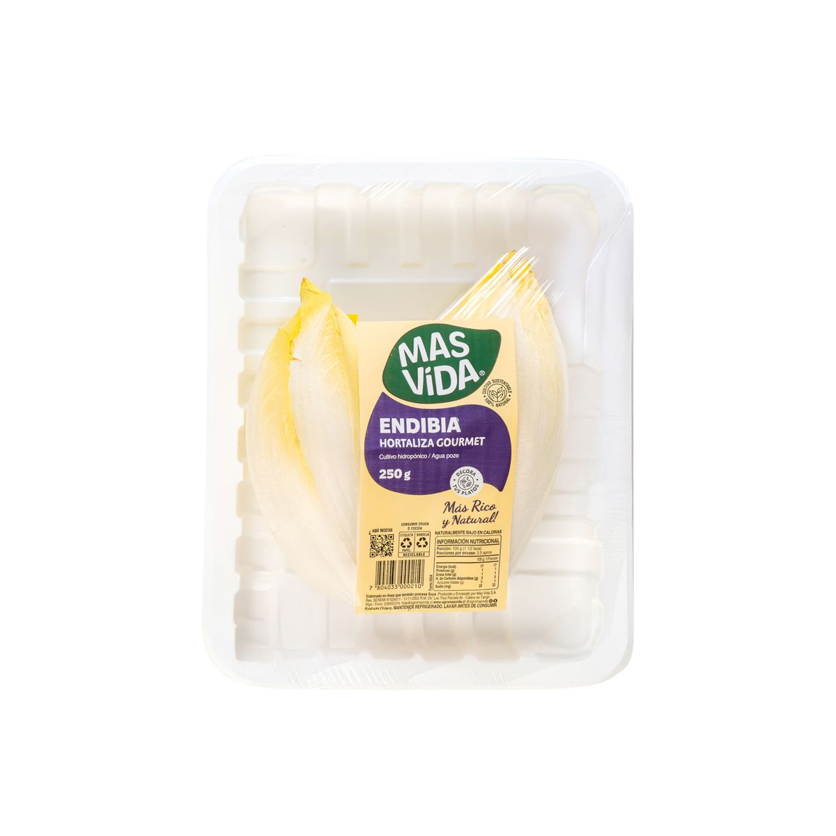 VERDURAS - Endibia Envasada 250 g