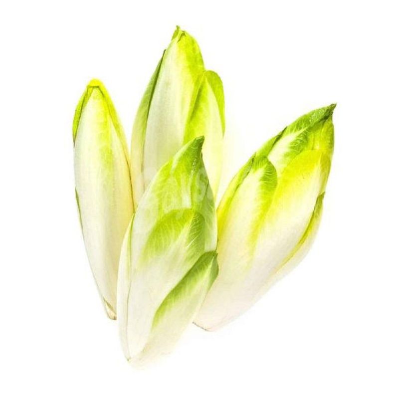 VERDURAS - Endibia Envasada 250 g