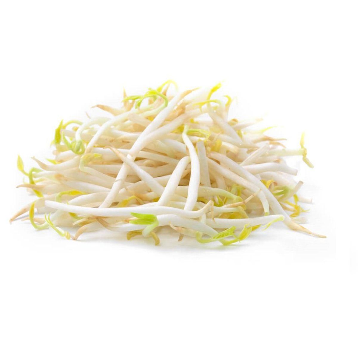 VERDURAS - Diente de Dragón Envasado 250 g