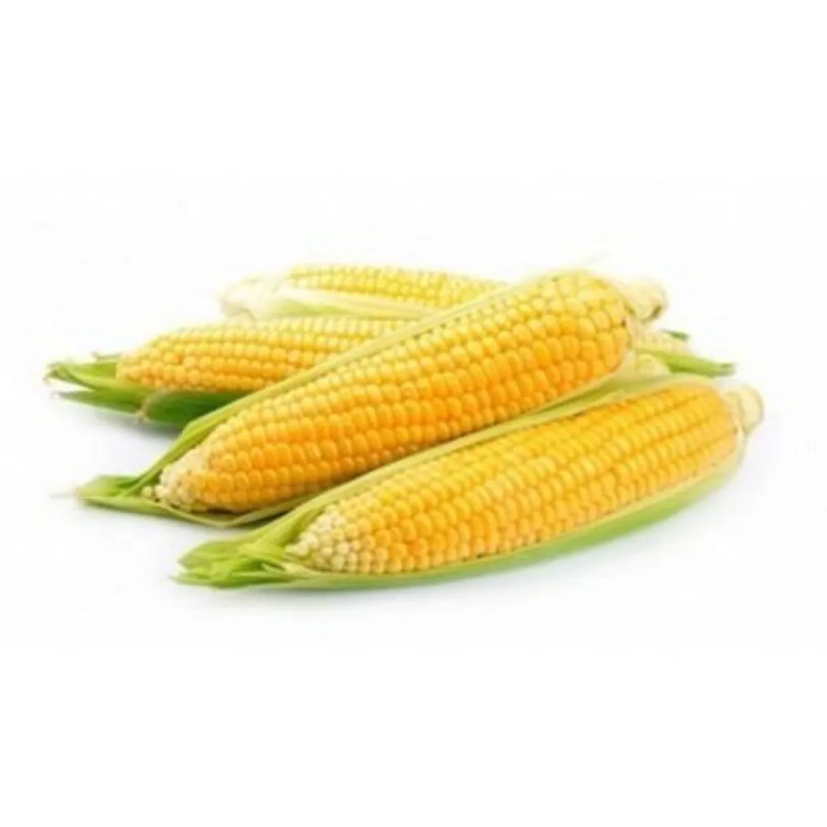 VERDURAS - Choclo Pastelero