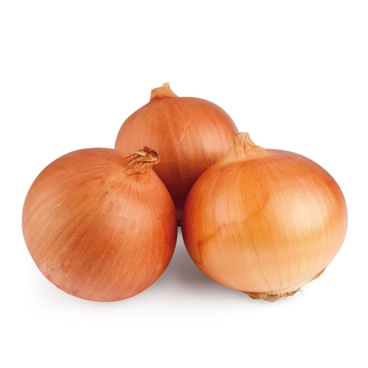 VERDURAS - Cebolla a Granel