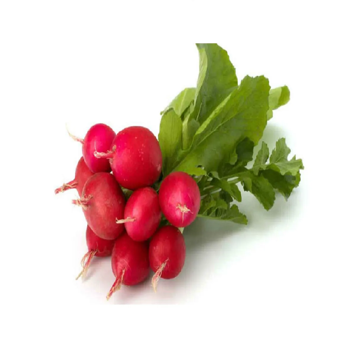 VERDURAS - Rabanito Rojo Paquete 8 Un