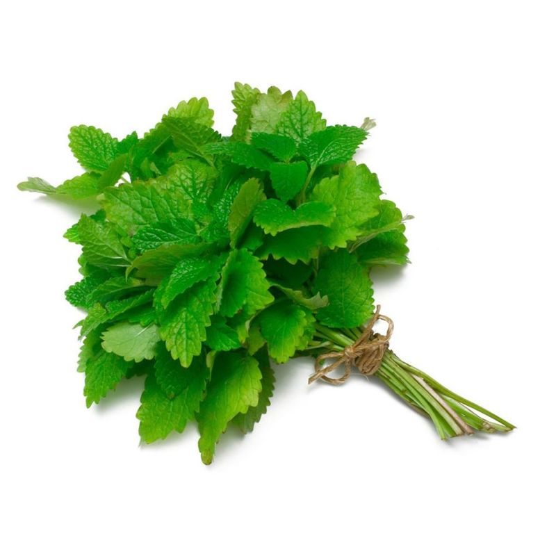 VERDURAS - Toronjil y Melissa Envasada 30 g