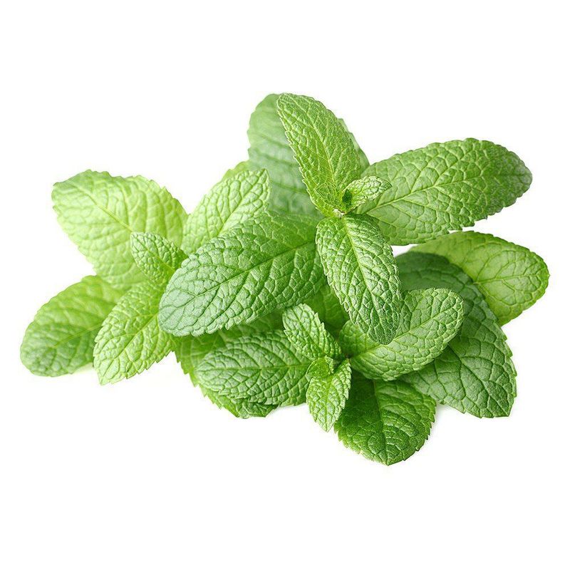 VERDURAS - Menta Envasada 30 g