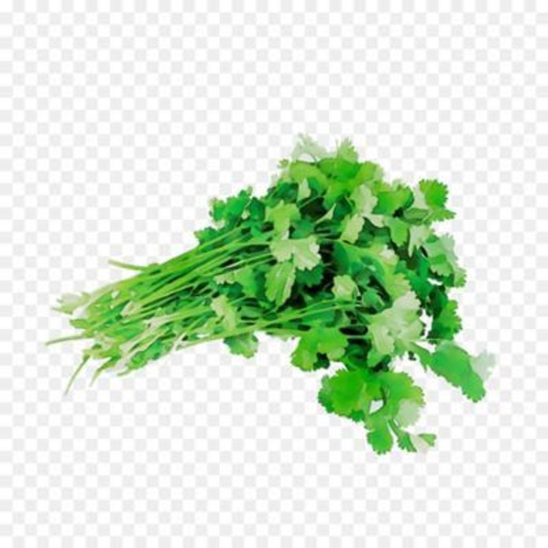 VERDURAS - Perejil Crespo Envasado 30 g