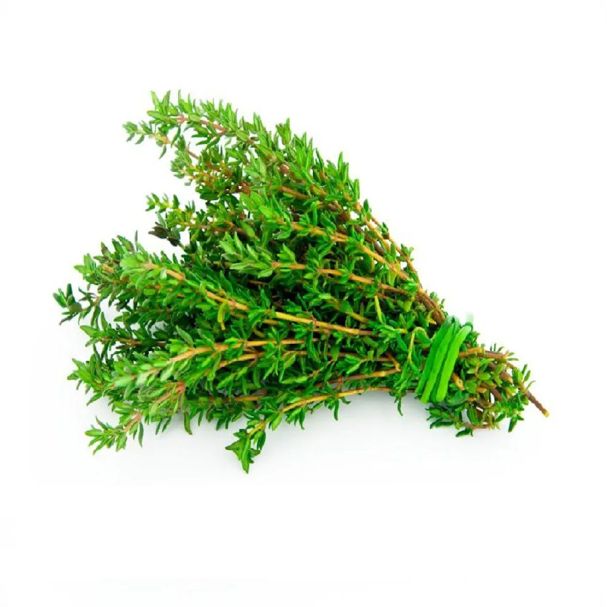 VERDURAS - Tomillo Envasado 30 g