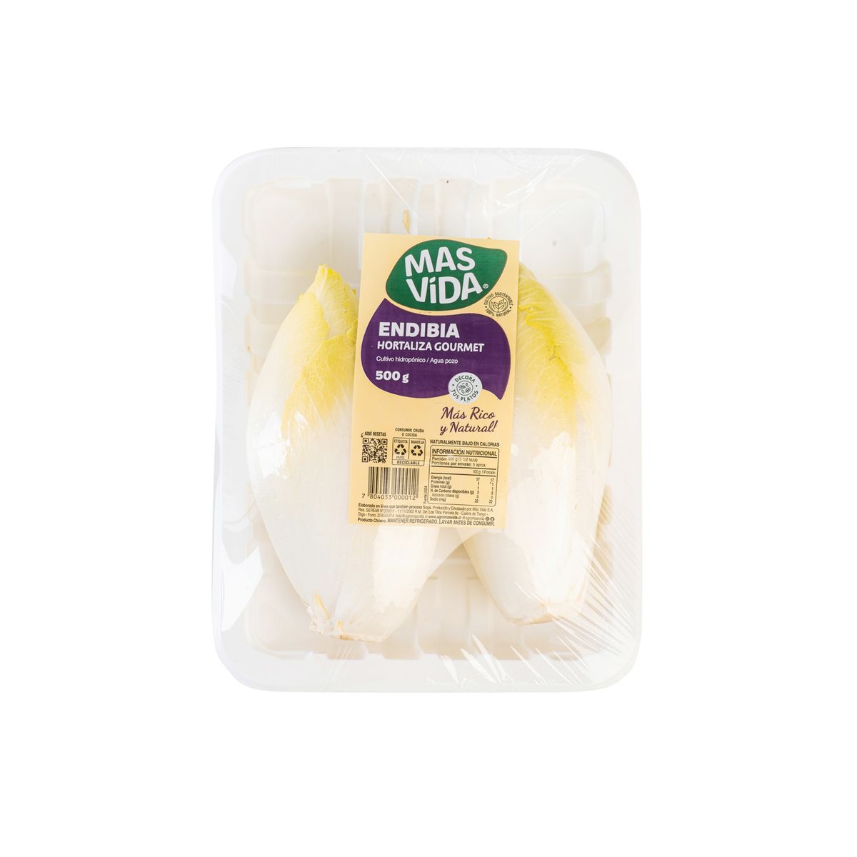 VERDURAS - Endibia Envasada 500 g
