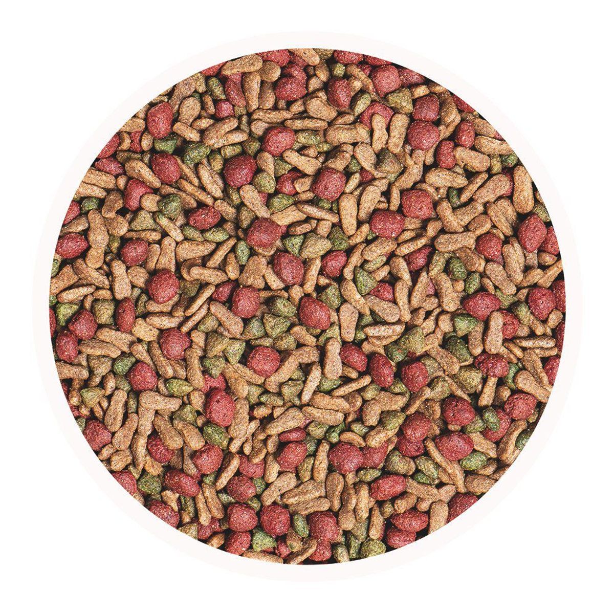 CHAMPION DOG - Alimento Para Perro Raza Pequeña