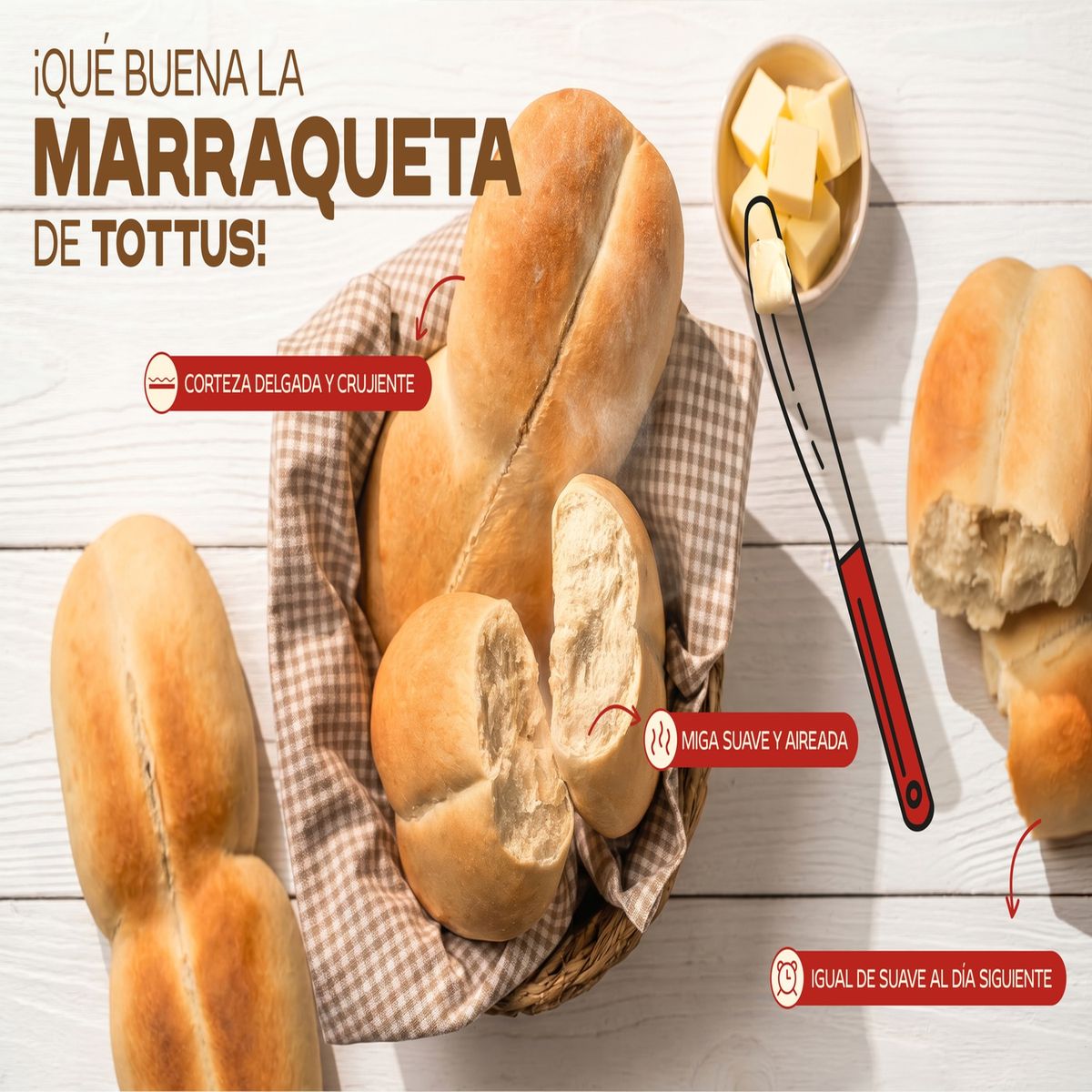 BREDENMASTER - Marraqueta Precocida