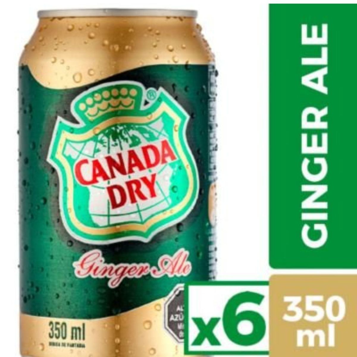 GINGER ALE - Bebidas Ginger Ale Lata